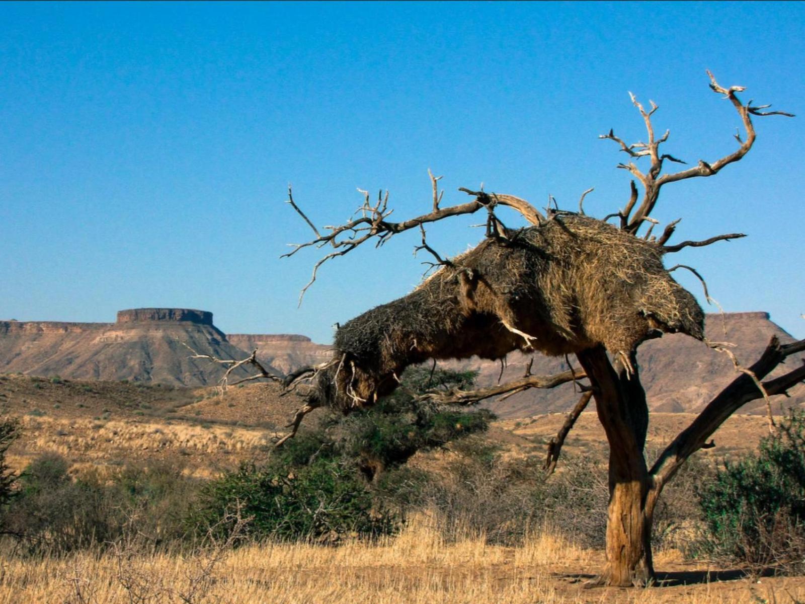 Mount Canyon Guest Farm Keetmanshoop Kültér fotó