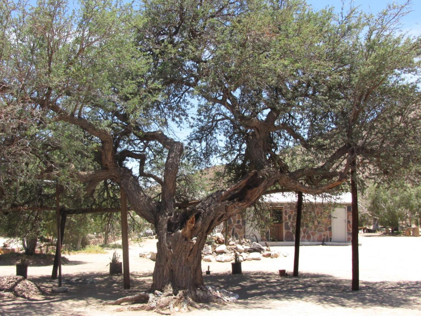 Mount Canyon Guest Farm Keetmanshoop Kültér fotó
